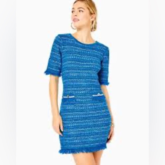 Lilly Pulitzer Dresses & Skirts - Lilly Pulitzer Beckington Sweater Dress Blue Grotto Metallic Tweed XL